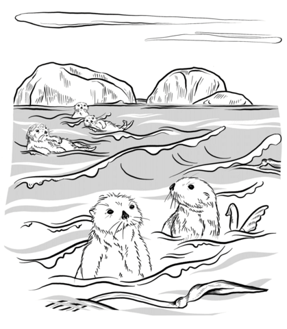 Sea Otters Coloring Page